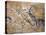 Cave Painting of Bird-Headed Man at Lascaux-null-Stretched Canvas