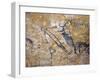 Cave Painting of Bird-Headed Man at Lascaux-null-Framed Premium Photographic Print