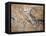 Cave Painting of Bird-Headed Man at Lascaux-null-Framed Stretched Canvas