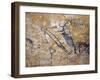 Cave Painting of Bird-Headed Man at Lascaux-null-Framed Photographic Print