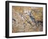 Cave Painting of Bird-Headed Man at Lascaux-null-Framed Photographic Print