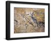 Cave Painting of Bird-Headed Man at Lascaux-null-Framed Photographic Print