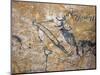 Cave Painting of Bird-Headed Man at Lascaux-null-Mounted Photographic Print