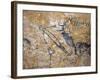 Cave Painting of Bird-Headed Man at Lascaux-null-Framed Photographic Print