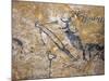 Cave Painting of Bird-Headed Man at Lascaux-null-Mounted Photographic Print