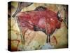 Cave Painting of Bison at Altamira-null-Stretched Canvas