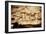 Cave Painting of Horses and Deer, circa 15000 BC-null-Framed Giclee Print