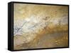 Cave Painting of Swimming Stags at Lascaux-null-Framed Stretched Canvas