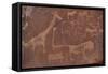 Cave Paintings by Bushmen, Damaraland, Namibia-null-Framed Stretched Canvas