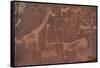 Cave Paintings by Bushmen, Damaraland, Namibia-null-Framed Stretched Canvas