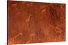 Cave Paintings by Bushmen, Damaraland, Namibia-null-Stretched Canvas