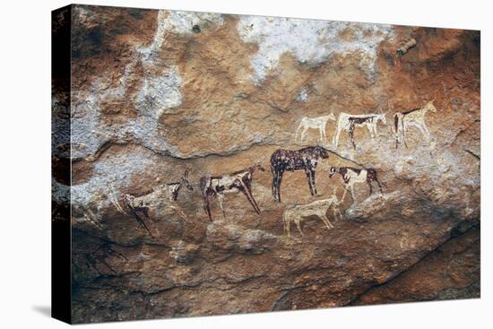 Cave Paintings Depicting Cattle, Prehistoric Caves on Gilf Kebir Plateau-null-Stretched Canvas