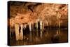 Cave Reflections-macropixel-Stretched Canvas