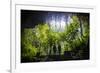 Cave System in the Virunga National Park, Rwanda, Africa-Michael-Framed Photographic Print