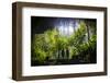 Cave System in the Virunga National Park, Rwanda, Africa-Michael-Framed Photographic Print