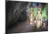 Cave Temple Near Mawlamyine, Mon State, Myanmar (Burma), Asia-Matthew Williams-Ellis-Mounted Photographic Print