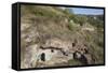 Cave Village, Old Goris, Goris, Armenia, Central Asia, Asia-Jane Sweeney-Framed Stretched Canvas