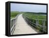 Cavendish Coastal Dune Area, Prince Edward Island National Park, Canada-Cindy Miller Hopkins-Framed Stretched Canvas