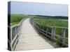 Cavendish Coastal Dune Area, Prince Edward Island National Park, Canada-Cindy Miller Hopkins-Stretched Canvas