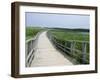 Cavendish Coastal Dune Area, Prince Edward Island National Park, Canada-Cindy Miller Hopkins-Framed Photographic Print