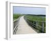 Cavendish Coastal Dune Area, Prince Edward Island National Park, Canada-Cindy Miller Hopkins-Framed Photographic Print