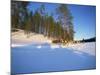 Caveris Husky Safaris, Pure-Bred Siberian Huskies, Karelia, Finland-Murray Louise-Mounted Photographic Print