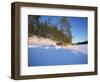 Caveris Husky Safaris, Pure-Bred Siberian Huskies, Karelia, Finland-Murray Louise-Framed Photographic Print