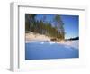 Caveris Husky Safaris, Pure-Bred Siberian Huskies, Karelia, Finland-Murray Louise-Framed Photographic Print