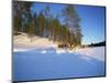 Caveris Husky Safaris, Pure-Bred Siberian Huskies, Karelia, Finland-Murray Louise-Mounted Photographic Print