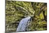 Cavern Cascade, Watkins Glen-demerzel21-Mounted Photographic Print