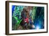 Cavern, Ha_Long Bay, Vietnam-Maks08-Framed Photographic Print