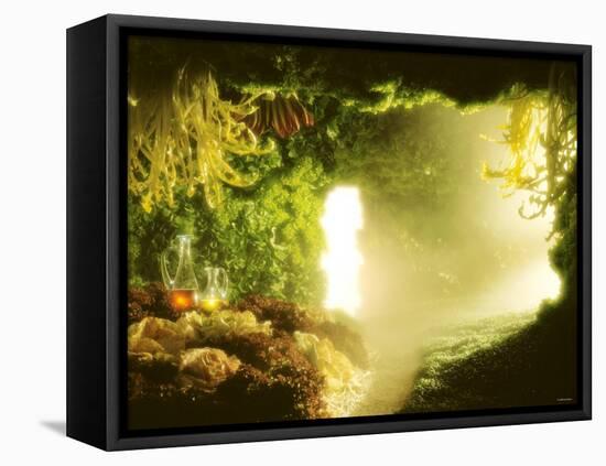 Cavern of Various Lettuces-Hartmut Seehuber-Framed Stretched Canvas