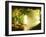 Cavern of Various Lettuces-Hartmut Seehuber-Framed Photographic Print