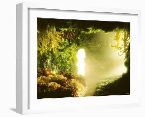 Cavern of Various Lettuces-Hartmut Seehuber-Framed Photographic Print