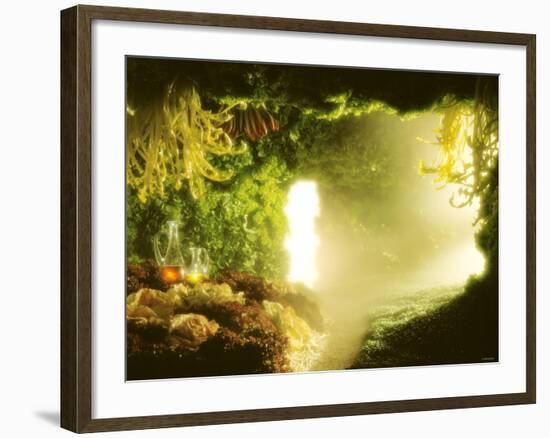 Cavern of Various Lettuces-Hartmut Seehuber-Framed Photographic Print