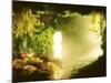 Cavern of Various Lettuces-Hartmut Seehuber-Mounted Photographic Print