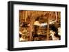 Caverns-abhbah05-Framed Photographic Print