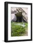 Caves at the Quarry Garden at the Archaeological Park of Syracuse (Siracusa)-Matthew Williams-Ellis-Framed Photographic Print