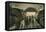 Caves Wine Champagne France 19th Century-null-Framed Stretched Canvas