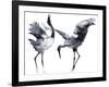 Cavorting Cranes-Kristine Hegre-Framed Giclee Print