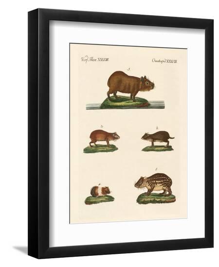 Premium Giclee Print, , large