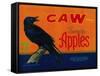 Caw Apple Crate Label - Medford, OR-Lantern Press-Framed Stretched Canvas