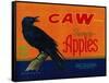 Caw Apple Crate Label - Medford, OR-Lantern Press-Framed Stretched Canvas