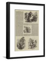 Cawdor Castle-Samuel Read-Framed Giclee Print