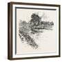 Cawood (Other Names: Carwood) Is a Large Village (Formerly a Market Town) and Civil Parish in the S-null-Framed Giclee Print