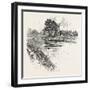 Cawood (Other Names: Carwood) Is a Large Village (Formerly a Market Town) and Civil Parish in the S-null-Framed Giclee Print