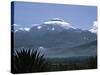 Cayambe, Ecuador-Charles Sleicher-Stretched Canvas