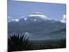 Cayambe, Ecuador-Charles Sleicher-Mounted Photographic Print