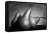 Cayendo-Moises Levy-Framed Stretched Canvas