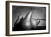 Cayendo-Moises Levy-Framed Photographic Print